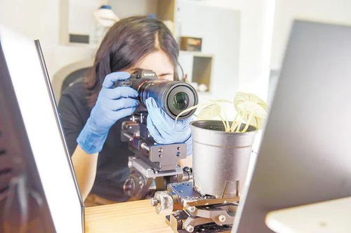 來,帶你看一看 看不見 的科學之美