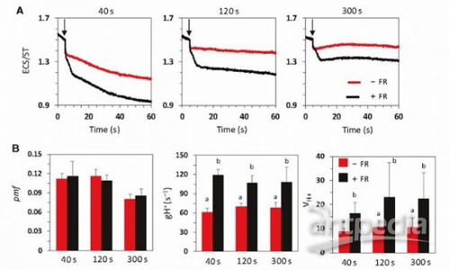 遠(yuǎn)紅光在波動光的弱光階段加速光合作用