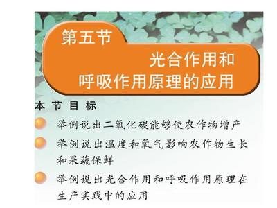 光合作用和呼吸作用原理的應(yīng)用 PPT課件 蘇教版