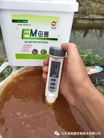 pH值對水產養殖中光合作用的影響與意義